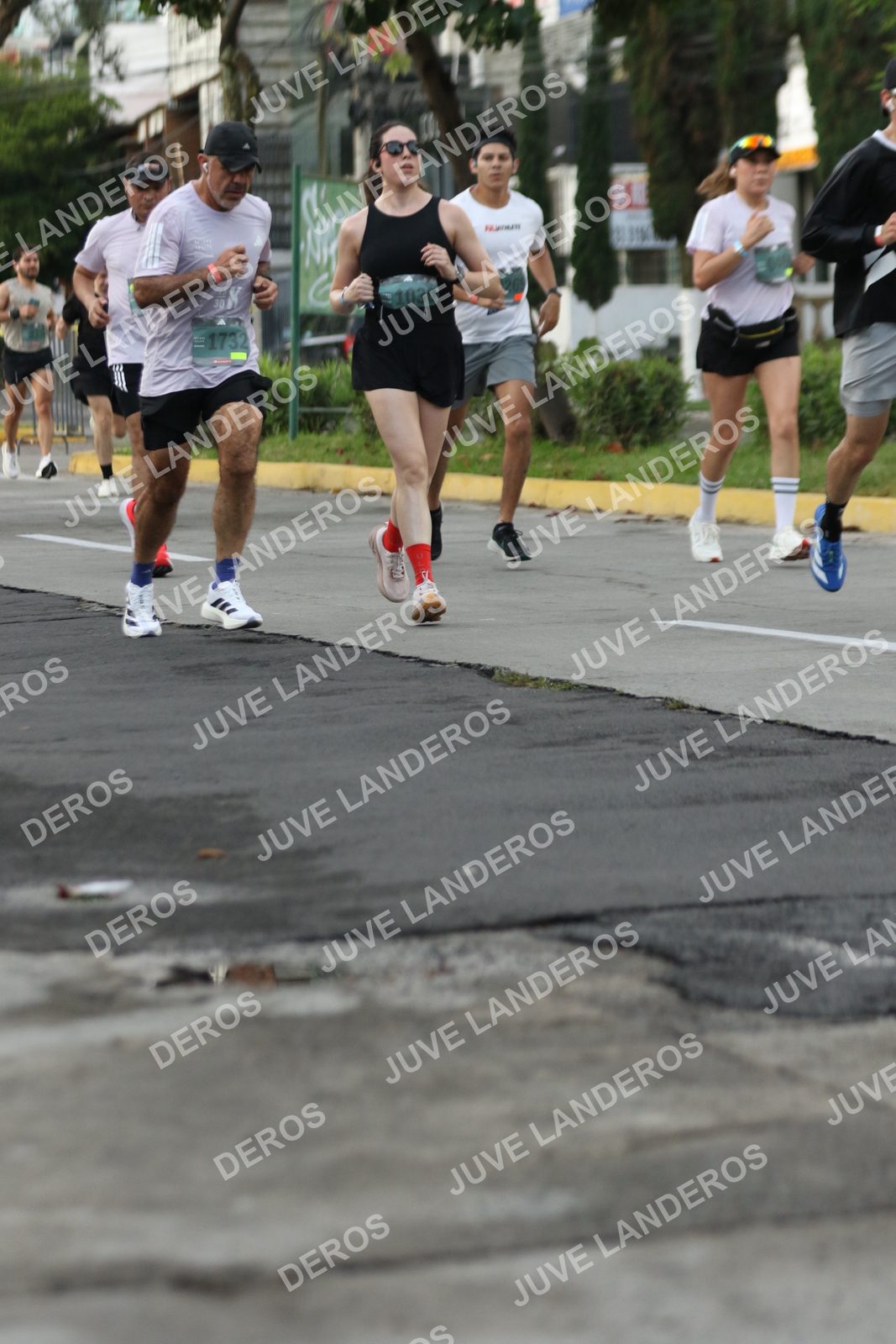 Foto de ADIDAS SPLITS GUADALAJARA 15K / 30K en Av. San Ignacio esquina Av. Ignacio L. Vallarta, Zapopan a las 07:02 · dorsal 1732