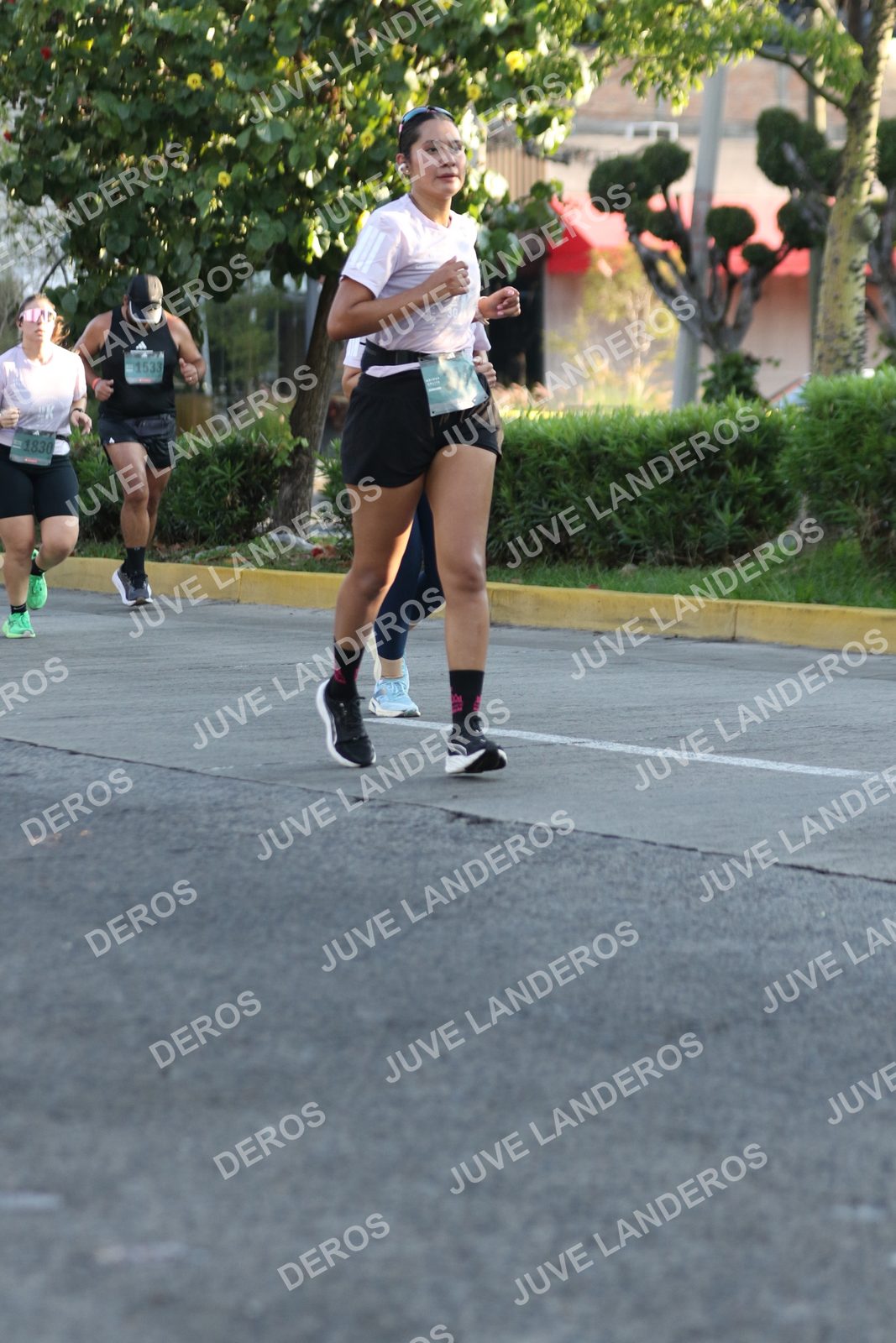 Foto de ADIDAS SPLITS GUADALAJARA 15K / 30K en Av. San Ignacio esquina Av. Ignacio L. Vallarta, Zapopan a las 07:47 · dorsal 1533, 1830