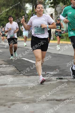 Foto de ADIDAS SPLITS GUADALAJARA 15K / 30K a las 06:58