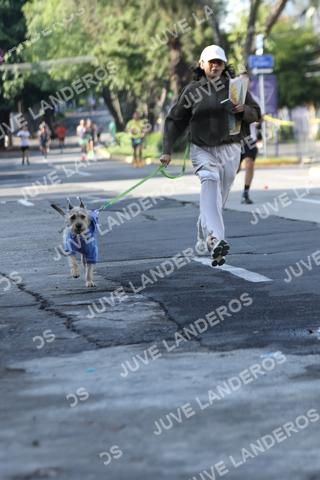 Foto de ADIDAS SPLITS GUADALAJARA 15K / 30K a las 08:23