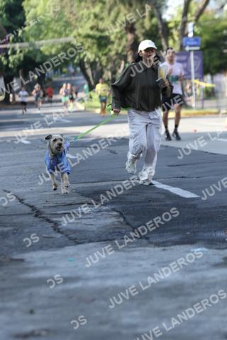 Foto de ADIDAS SPLITS GUADALAJARA 15K / 30K a las 08:23