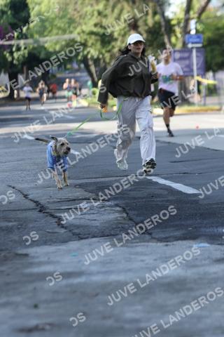Foto de ADIDAS SPLITS GUADALAJARA 15K / 30K a las 08:23