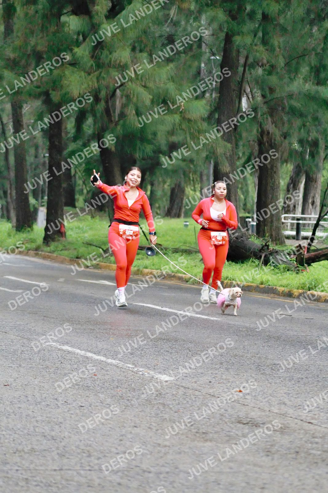 Foto del BARBIE RUN GUADALAJARA en Paseo Andares, Blvd. Puerta de Hierro 4965, Zapopan a las 07:28 · Ruta · dorsal 4812