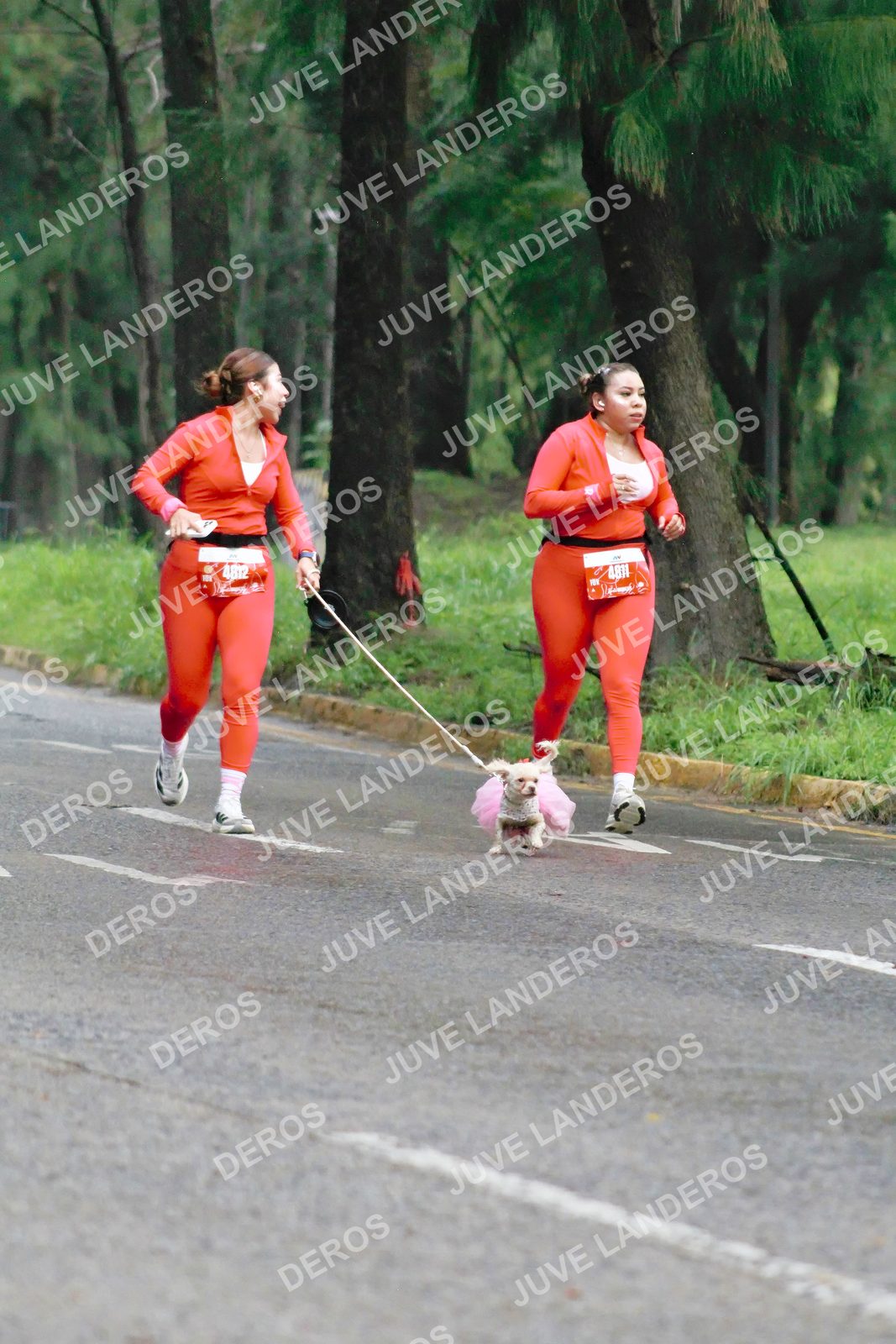 Foto del BARBIE RUN GUADALAJARA en Paseo Andares, Blvd. Puerta de Hierro 4965, Zapopan a las 07:28 · Ruta · dorsal 4811