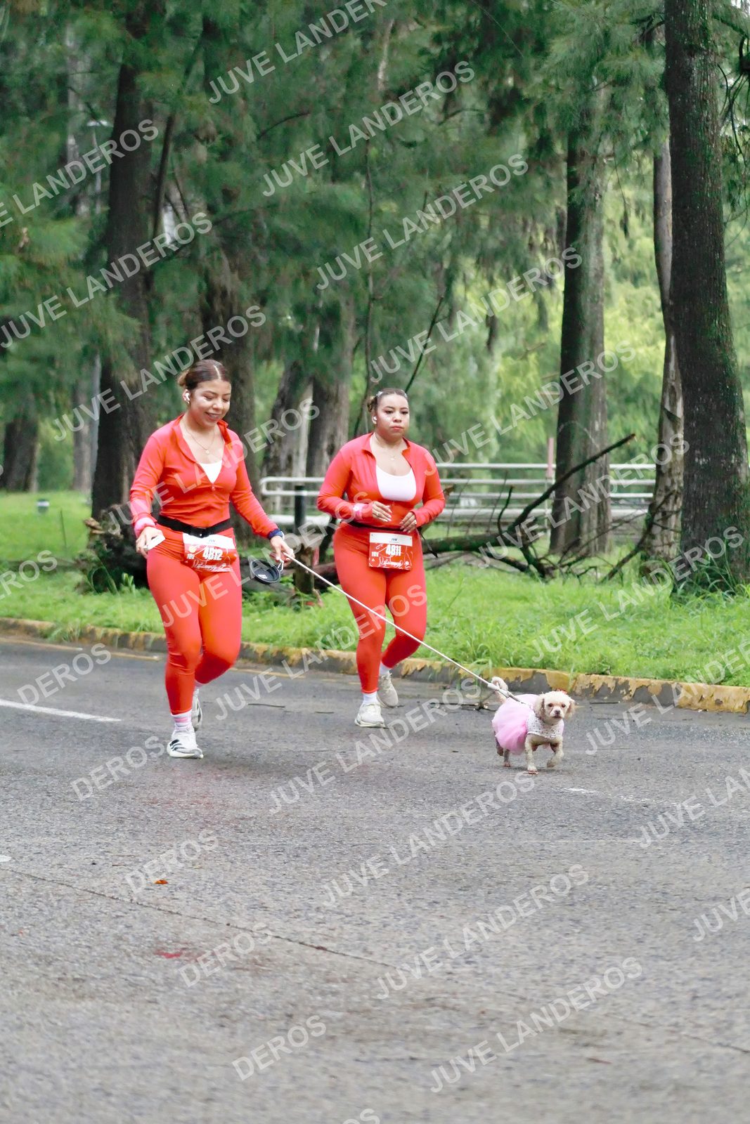 Foto del BARBIE RUN GUADALAJARA en Paseo Andares, Blvd. Puerta de Hierro 4965, Zapopan a las 07:28 · Ruta