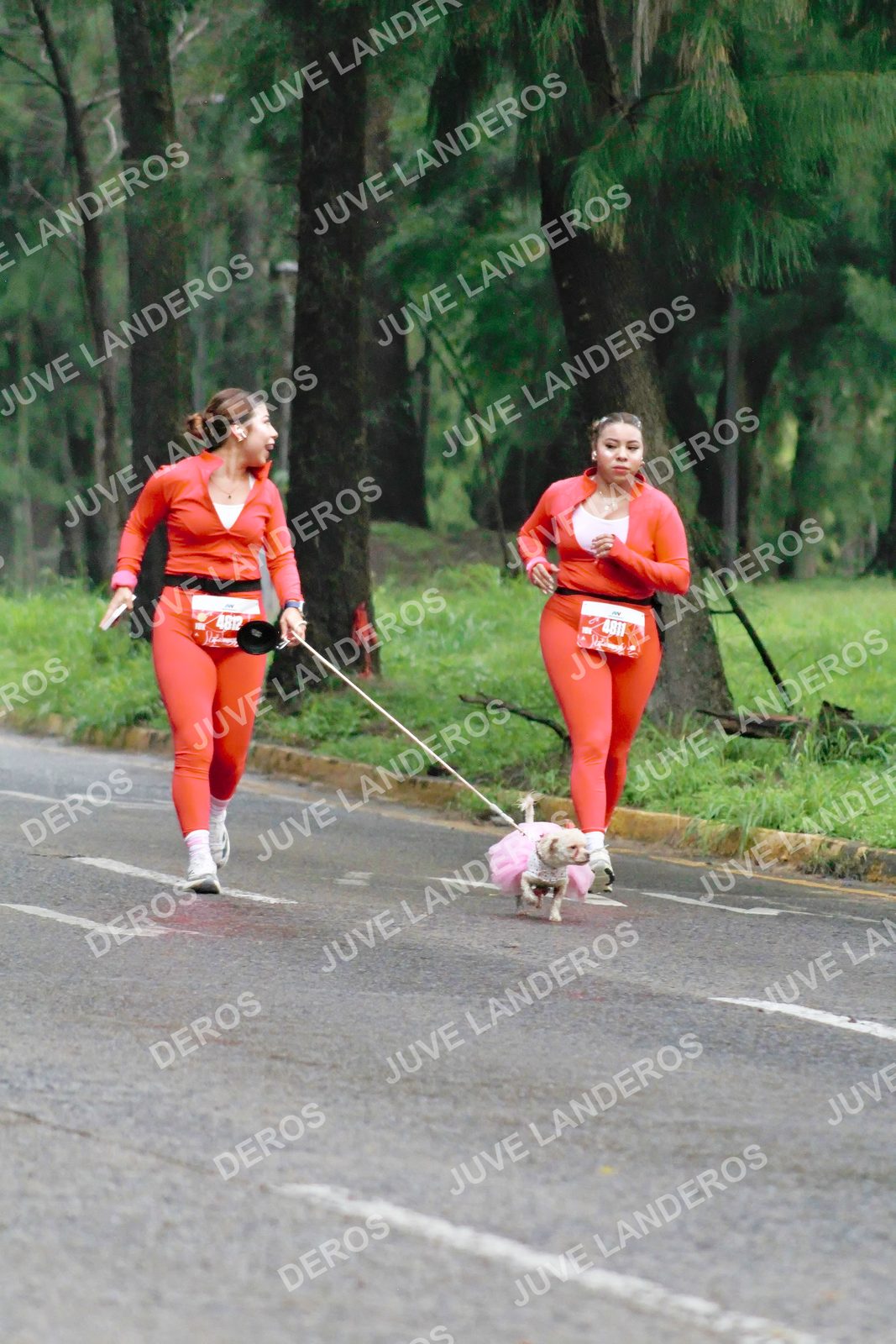 Foto del BARBIE RUN GUADALAJARA en Paseo Andares, Blvd. Puerta de Hierro 4965, Zapopan a las 07:28 · Ruta · dorsal 4812, 4811