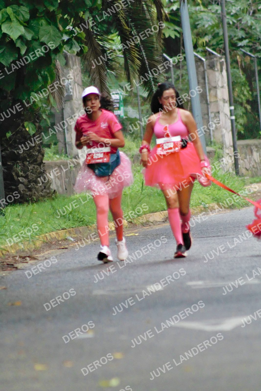 Foto del BARBIE RUN GUADALAJARA en Paseo Andares, Blvd. Puerta de Hierro 4965, Zapopan a las 07:24 · Ruta · dorsal 5294, 5293