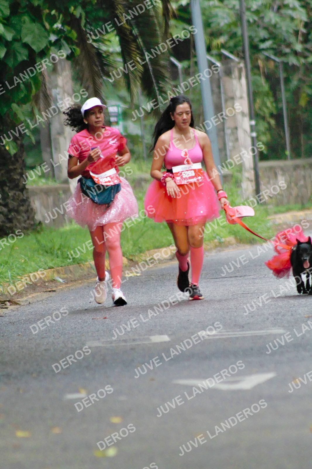 Foto del BARBIE RUN GUADALAJARA en Paseo Andares, Blvd. Puerta de Hierro 4965, Zapopan a las 07:24 · Ruta · dorsal 5293
