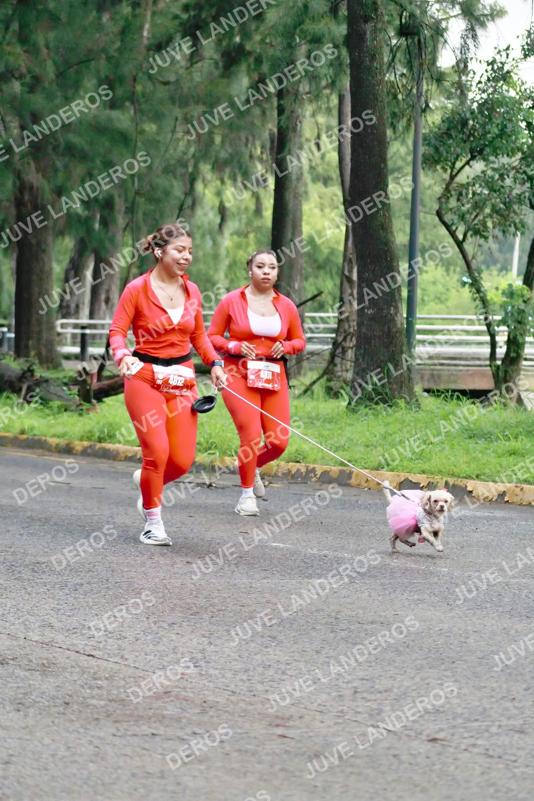Foto del BARBIE RUN GUADALAJARA en Paseo Andares, Blvd. Puerta de Hierro 4965, Zapopan a las 07:28 · Ruta