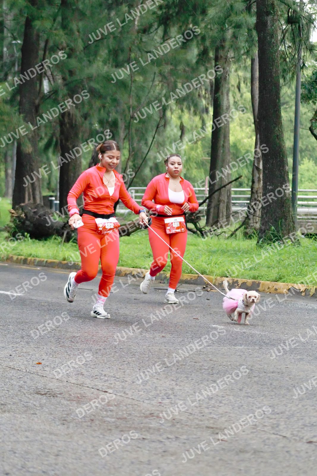 Foto del BARBIE RUN GUADALAJARA en Paseo Andares, Blvd. Puerta de Hierro 4965, Zapopan a las 07:28 · Ruta
