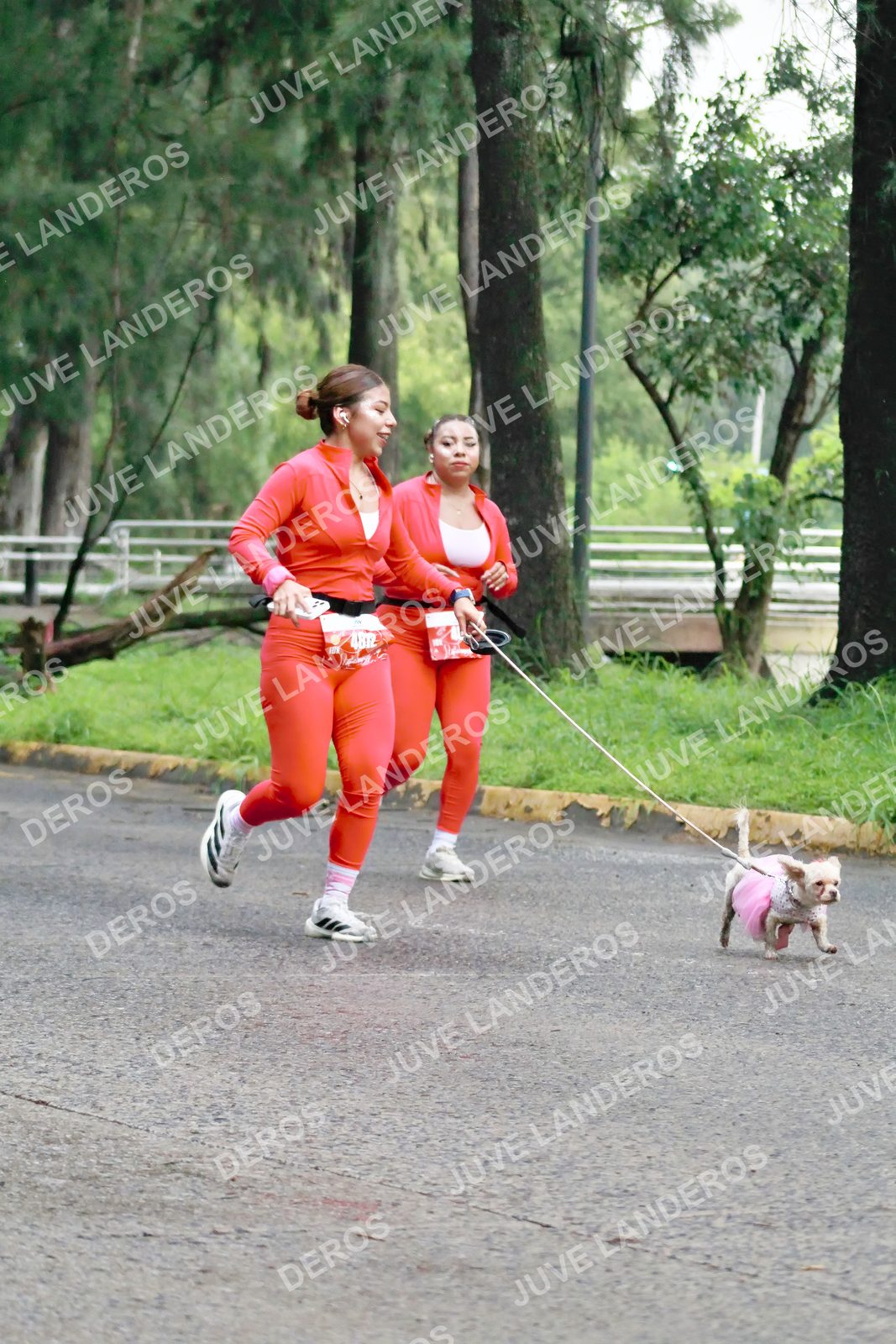 Foto del BARBIE RUN GUADALAJARA en Paseo Andares, Blvd. Puerta de Hierro 4965, Zapopan a las 07:28 · Ruta · dorsal 4812