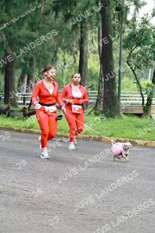 Foto del BARBIE RUN GUADALAJARA a las 07:28