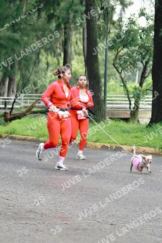 Foto del BARBIE RUN GUADALAJARA a las 07:28