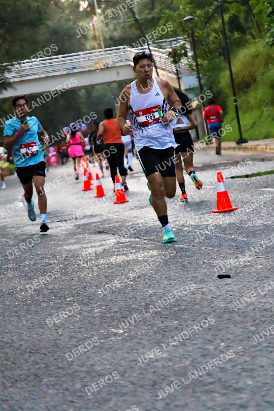 Foto de la CARRERA BIMBO GLOBAL RACE GUADALAJARA en Centro Comercial Andares, Blvd. Puerta de Hierro 4965, Zapopan a las 04:56 · dorsal 2156, 2947
