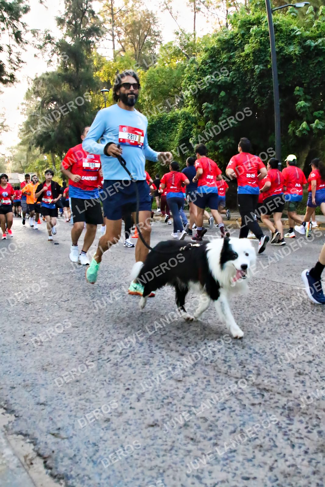 Foto de la CARRERA BIMBO GLOBAL RACE GUADALAJARA en Centro Comercial Andares, Blvd. Puerta de Hierro 4965, Zapopan a las 06:58 · dorsal 2817, 3196, 202