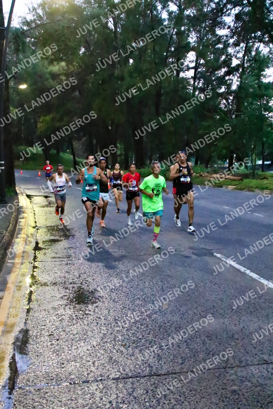Foto de la CARRERA BIMBO GLOBAL RACE GUADALAJARA en Centro Comercial Andares, Blvd. Puerta de Hierro 4965, Zapopan a las 06:35