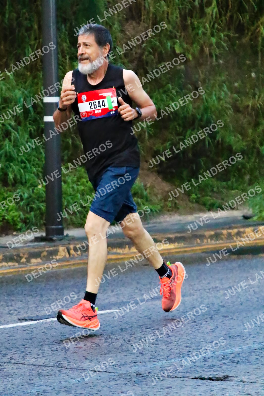 Foto de la CARRERA BIMBO GLOBAL RACE GUADALAJARA en Centro Comercial Andares, Blvd. Puerta de Hierro 4965, Zapopan a las 04:54 · dorsal 2644