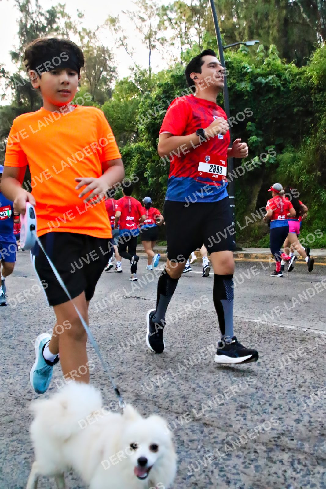 Foto de la CARRERA BIMBO GLOBAL RACE GUADALAJARA en Centro Comercial Andares, Blvd. Puerta de Hierro 4965, Zapopan a las 05:00 · dorsal 2893