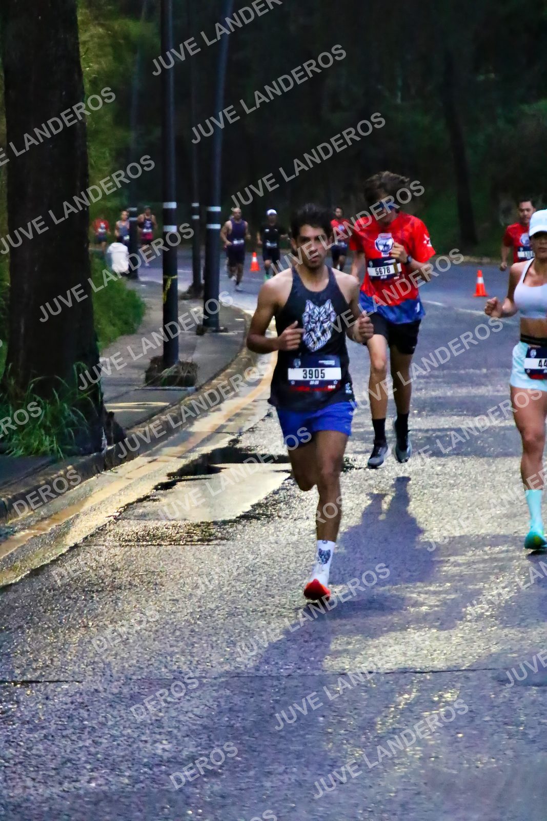 Foto de la CARRERA BIMBO GLOBAL RACE GUADALAJARA en Centro Comercial Andares, Blvd. Puerta de Hierro 4965, Zapopan a las 06:35 · dorsal 3905, 5678, 44