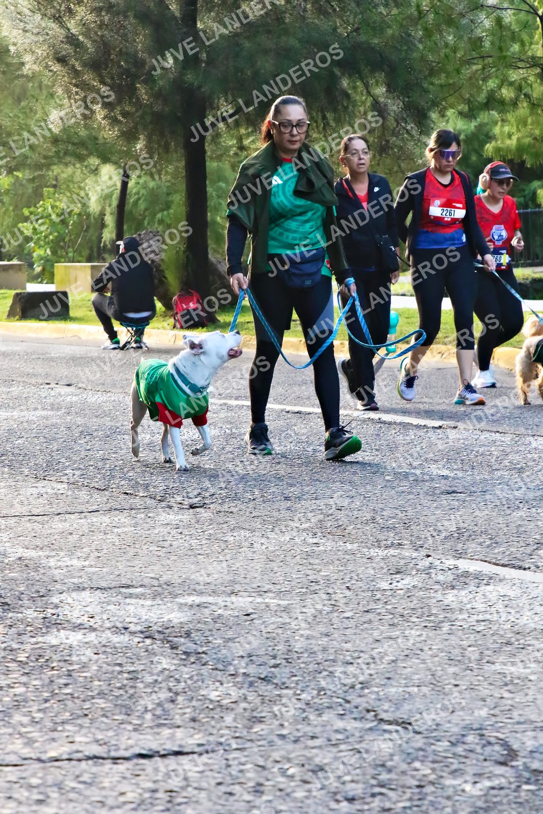 Foto de la CARRERA BIMBO GLOBAL RACE GUADALAJARA en Centro Comercial Andares, Blvd. Puerta de Hierro 4965, Zapopan a las 07:35 · dorsal 60, 2261
