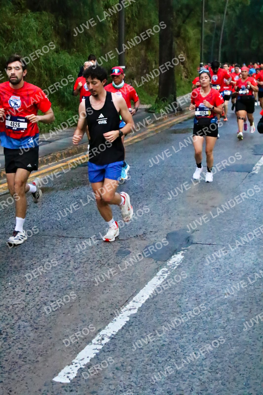 Foto de la CARRERA BIMBO GLOBAL RACE GUADALAJARA en Centro Comercial Andares, Blvd. Puerta de Hierro 4965, Zapopan a las 06:40 · dorsal 4826, 4024