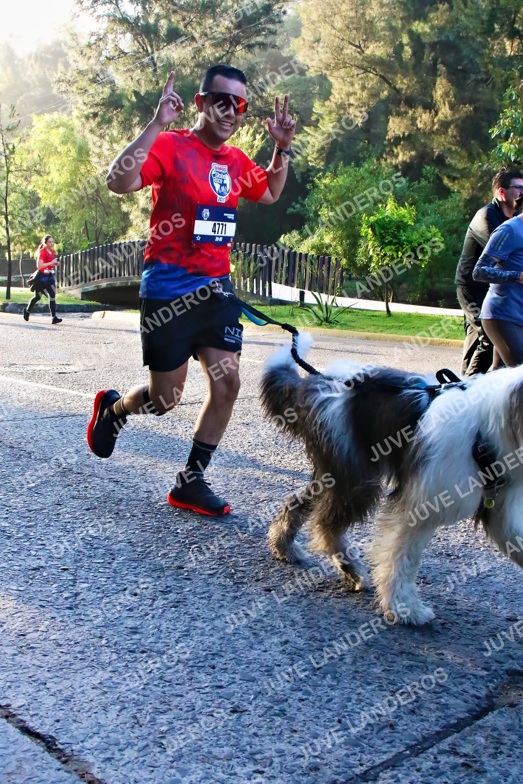Foto de la CARRERA BIMBO GLOBAL RACE GUADALAJARA en Centro Comercial Andares, Blvd. Puerta de Hierro 4965, Zapopan a las 07:29 · dorsal 4771