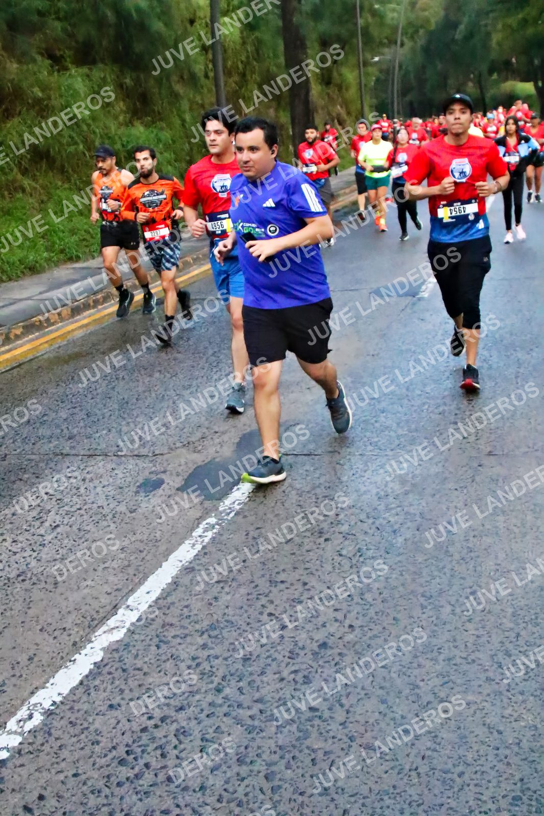 Foto de la CARRERA BIMBO GLOBAL RACE GUADALAJARA en Centro Comercial Andares, Blvd. Puerta de Hierro 4965, Zapopan a las 04:50 · dorsal 4956, 229