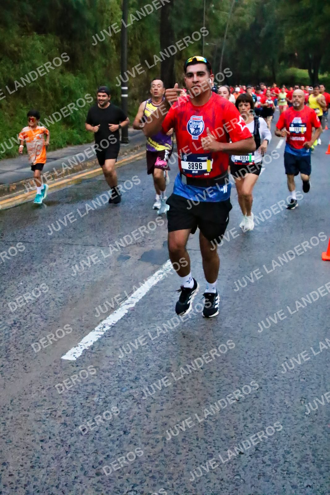 Foto de la CARRERA BIMBO GLOBAL RACE GUADALAJARA en Centro Comercial Andares, Blvd. Puerta de Hierro 4965, Zapopan a las 06:40 · dorsal 3896, 4994
