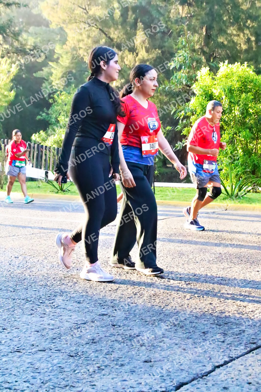 Foto de la CARRERA BIMBO GLOBAL RACE GUADALAJARA en Centro Comercial Andares, Blvd. Puerta de Hierro 4965, Zapopan a las 07:25 · dorsal 1467, 24