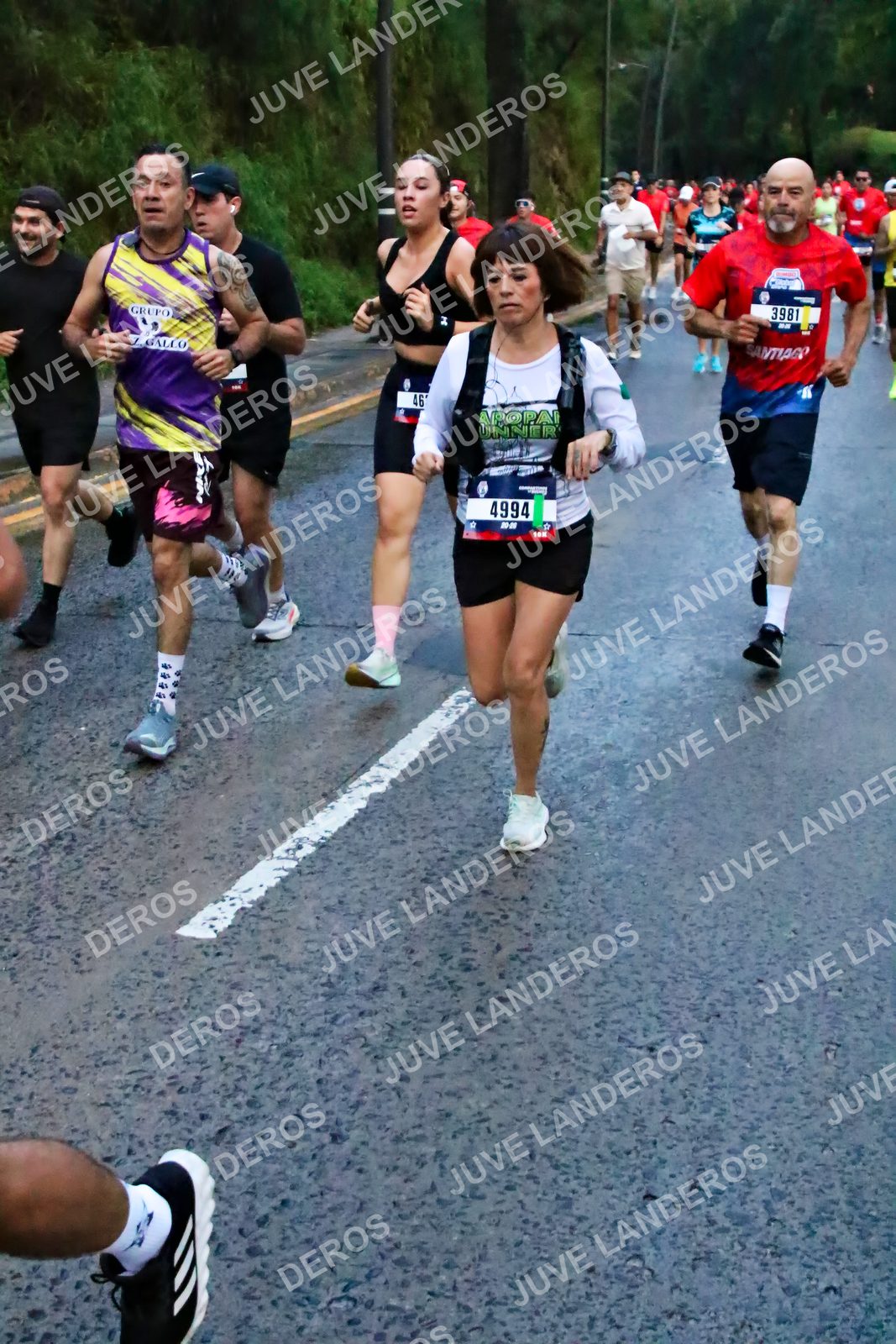 Foto de la CARRERA BIMBO GLOBAL RACE GUADALAJARA en Centro Comercial Andares, Blvd. Puerta de Hierro 4965, Zapopan a las 06:40 · dorsal 4994, 3981