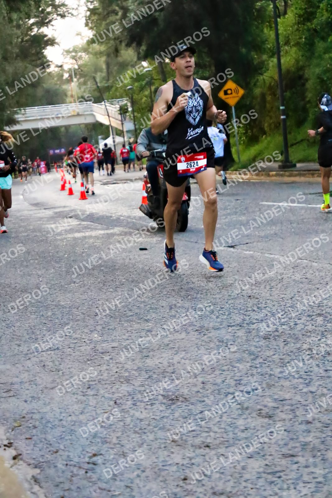 Foto de la CARRERA BIMBO GLOBAL RACE GUADALAJARA en Centro Comercial Andares, Blvd. Puerta de Hierro 4965, Zapopan a las 04:55 · dorsal 2624