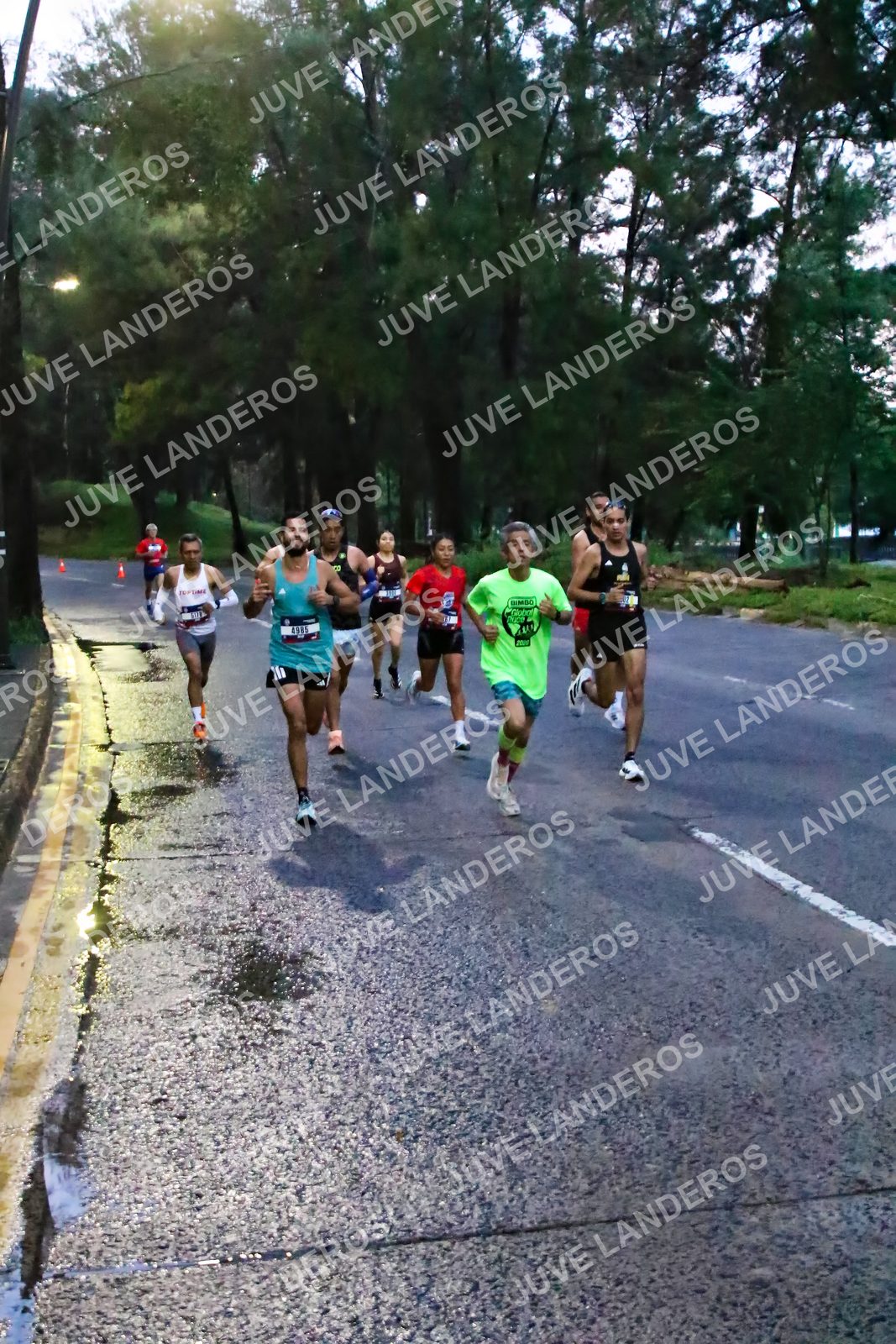 Foto de la CARRERA BIMBO GLOBAL RACE GUADALAJARA en Centro Comercial Andares, Blvd. Puerta de Hierro 4965, Zapopan a las 06:35