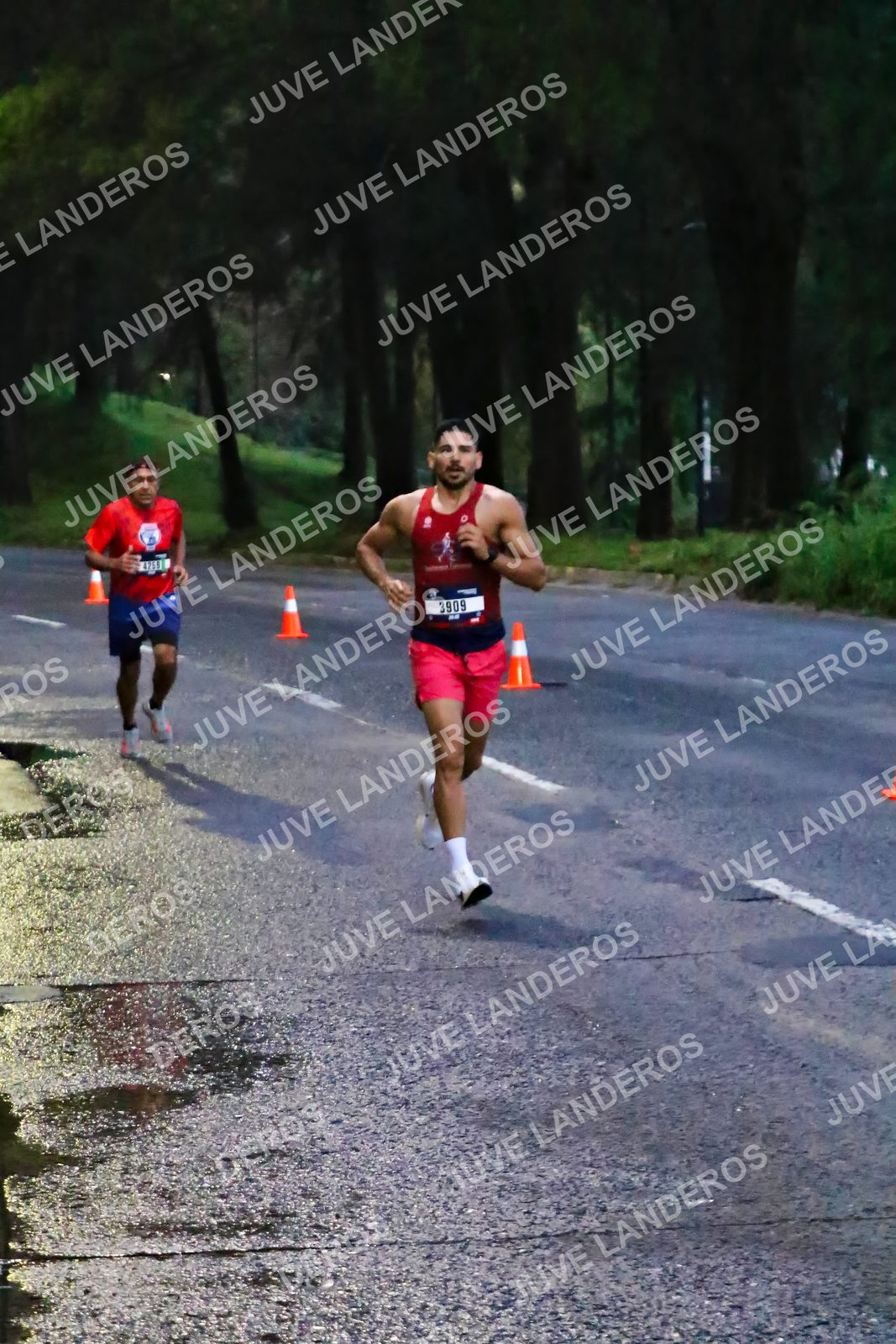 Foto de la CARRERA BIMBO GLOBAL RACE GUADALAJARA en Centro Comercial Andares, Blvd. Puerta de Hierro 4965, Zapopan a las 06:35 · dorsal 3909