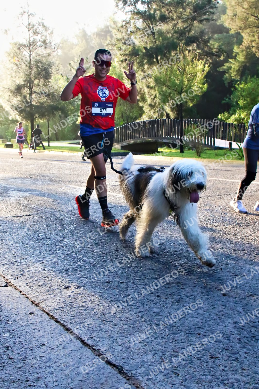 Foto de la CARRERA BIMBO GLOBAL RACE GUADALAJARA en Centro Comercial Andares, Blvd. Puerta de Hierro 4965, Zapopan a las 07:29 · dorsal 4771