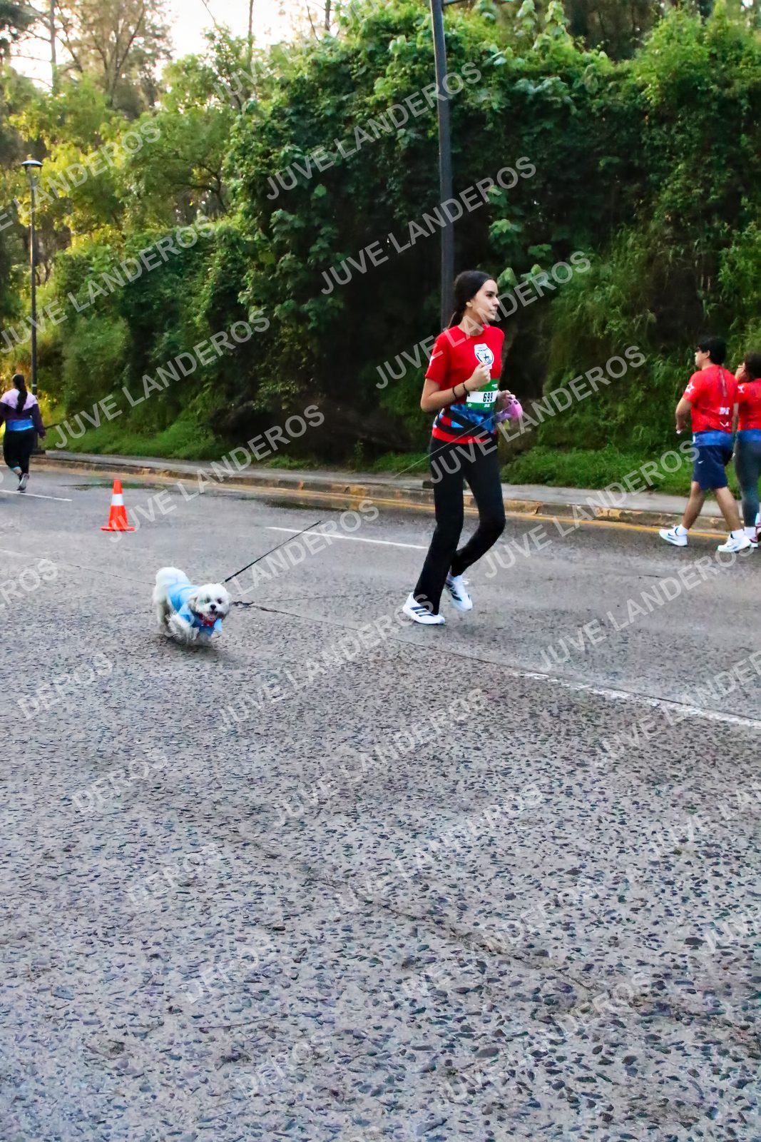 Foto de la CARRERA BIMBO GLOBAL RACE GUADALAJARA en Centro Comercial Andares, Blvd. Puerta de Hierro 4965, Zapopan a las 07:11