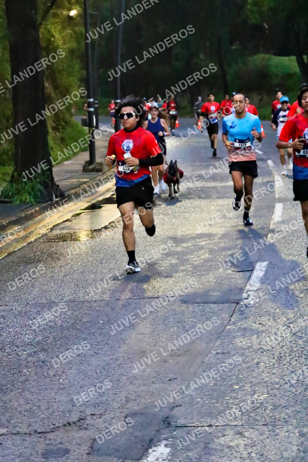 Foto de la CARRERA BIMBO GLOBAL RACE GUADALAJARA en Centro Comercial Andares, Blvd. Puerta de Hierro 4965, Zapopan a las 06:37 · dorsal 48