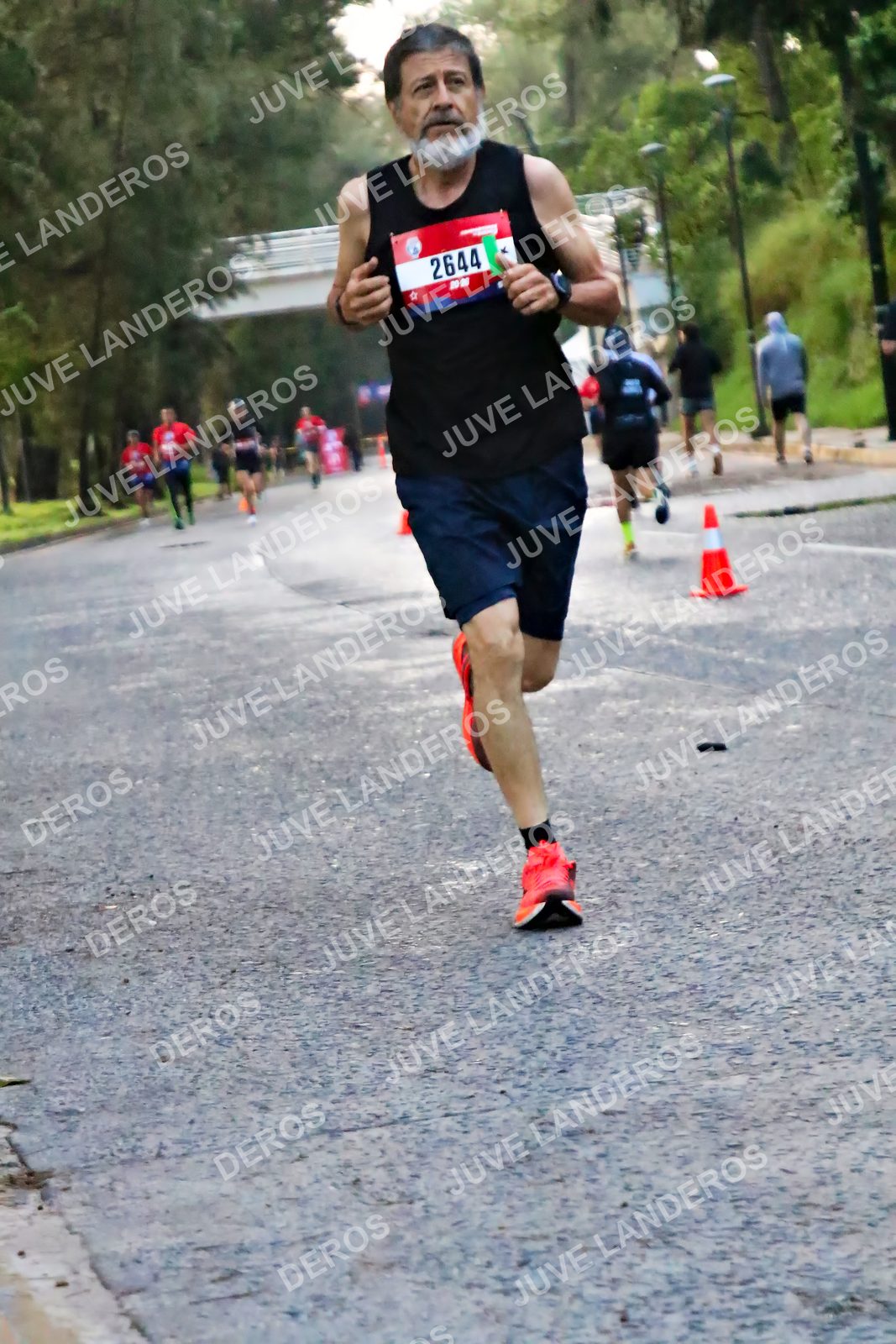 Foto de la CARRERA BIMBO GLOBAL RACE GUADALAJARA en Centro Comercial Andares, Blvd. Puerta de Hierro 4965, Zapopan a las 04:55 · dorsal 2644