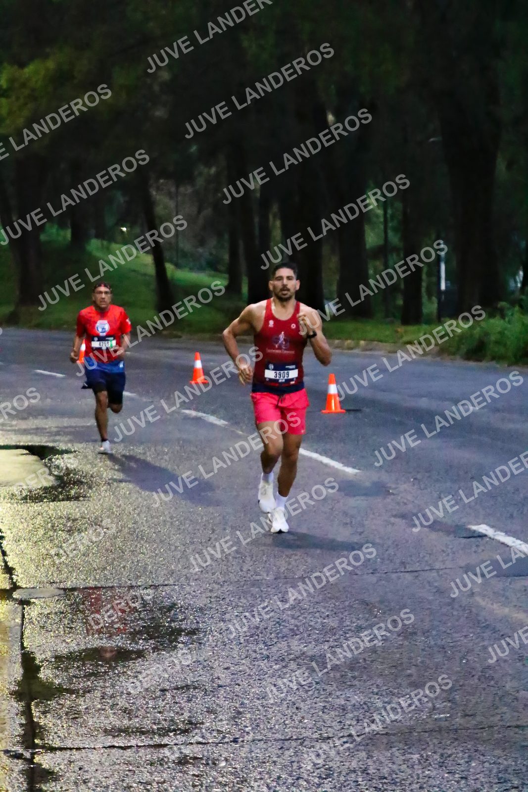 Foto de la CARRERA BIMBO GLOBAL RACE GUADALAJARA en Centro Comercial Andares, Blvd. Puerta de Hierro 4965, Zapopan a las 06:35 · dorsal 3909
