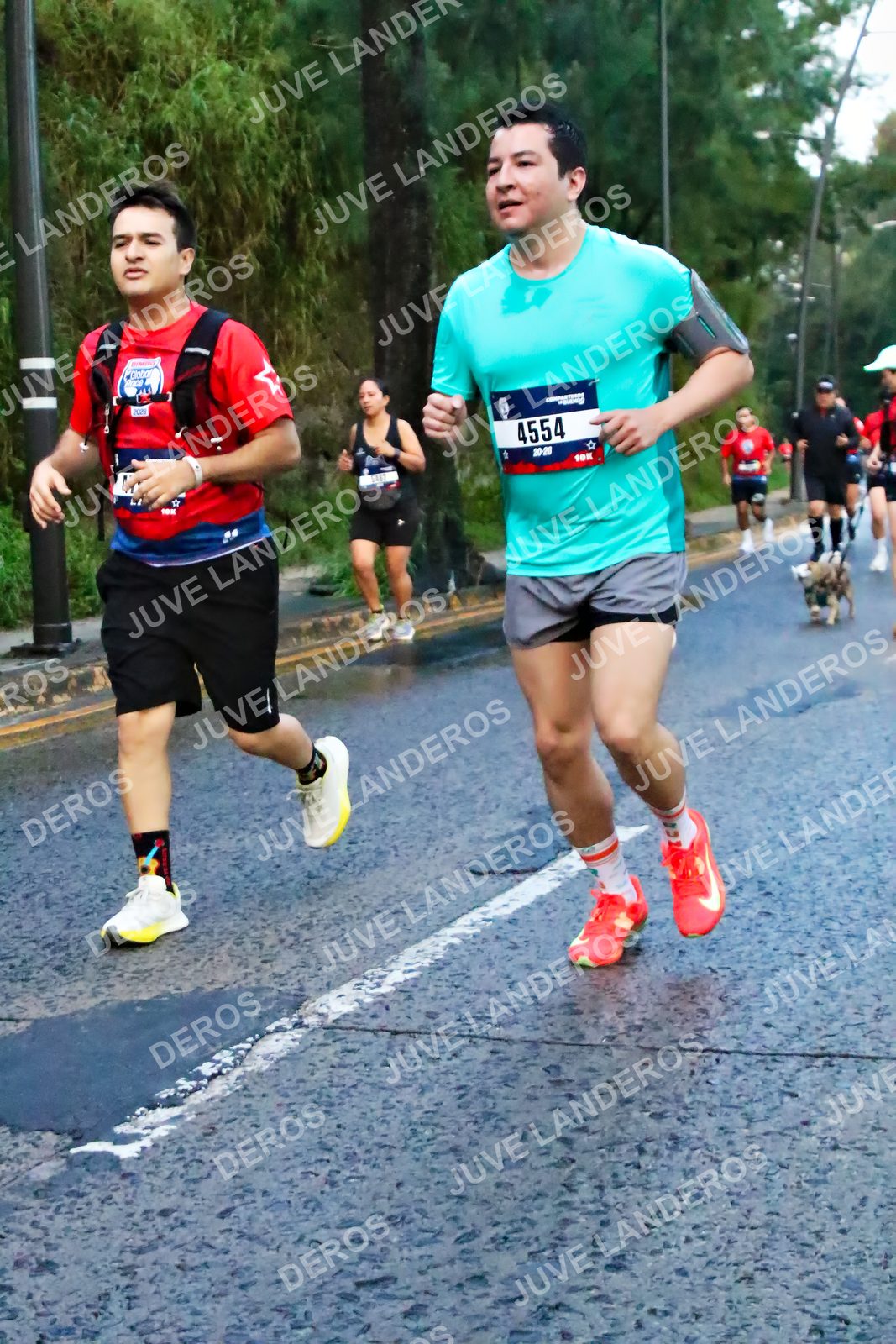 Foto de la CARRERA BIMBO GLOBAL RACE GUADALAJARA en Centro Comercial Andares, Blvd. Puerta de Hierro 4965, Zapopan a las 04:53 · dorsal 4554