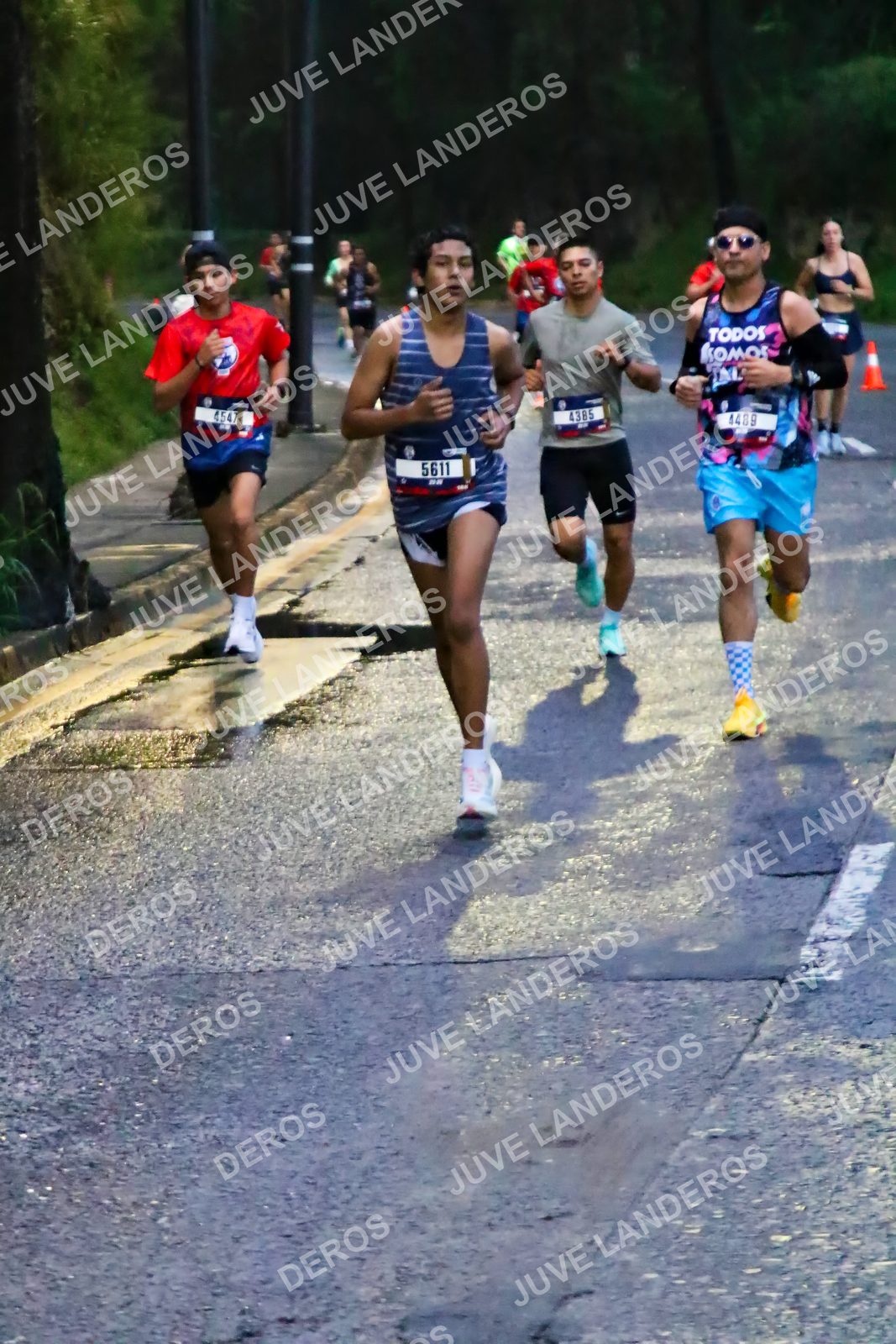 Foto de la CARRERA BIMBO GLOBAL RACE GUADALAJARA en Centro Comercial Andares, Blvd. Puerta de Hierro 4965, Zapopan a las 06:36 · dorsal 5611, 4489, 4547, 4385