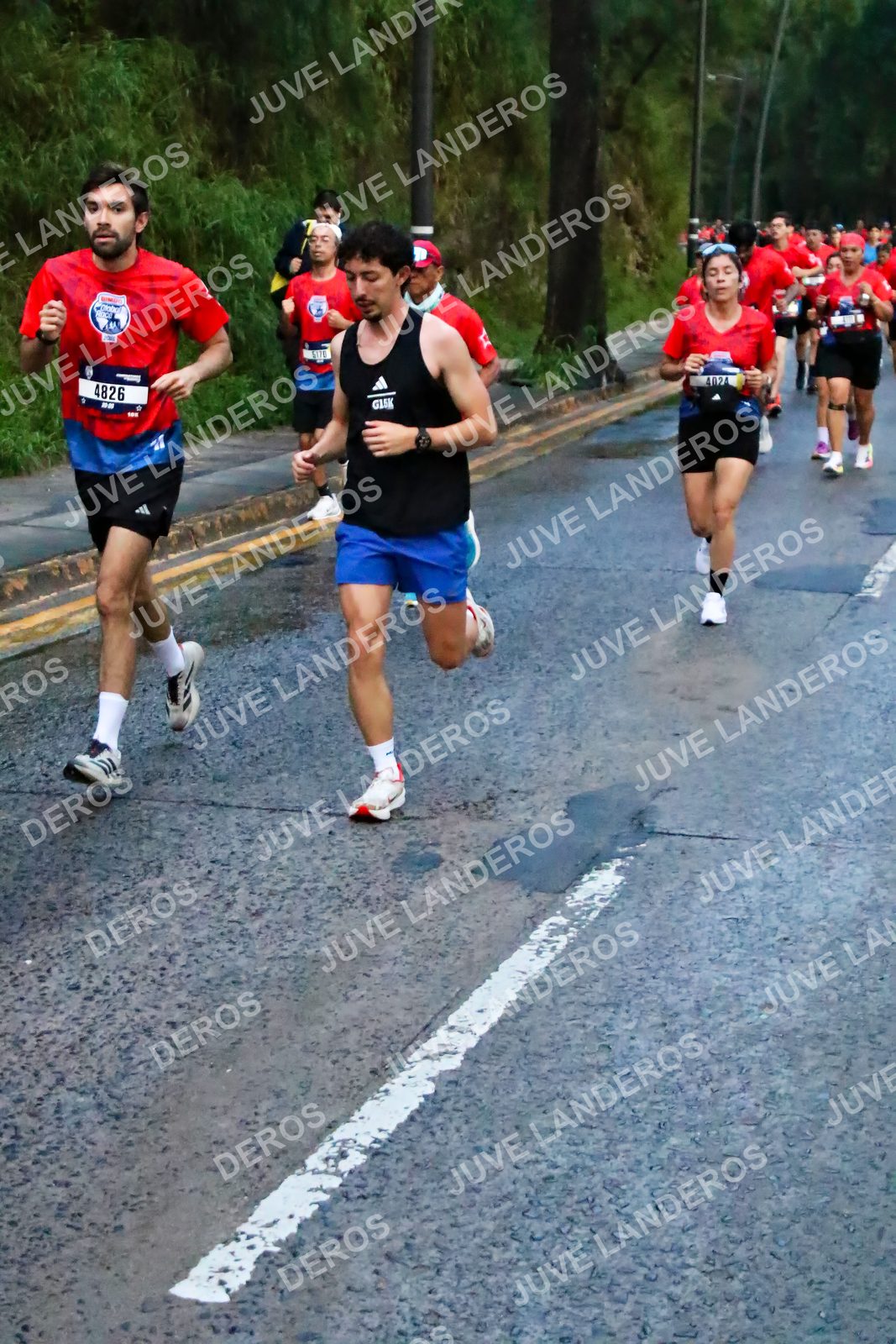 Foto de la CARRERA BIMBO GLOBAL RACE GUADALAJARA en Centro Comercial Andares, Blvd. Puerta de Hierro 4965, Zapopan a las 06:40 · dorsal 4826, 4024