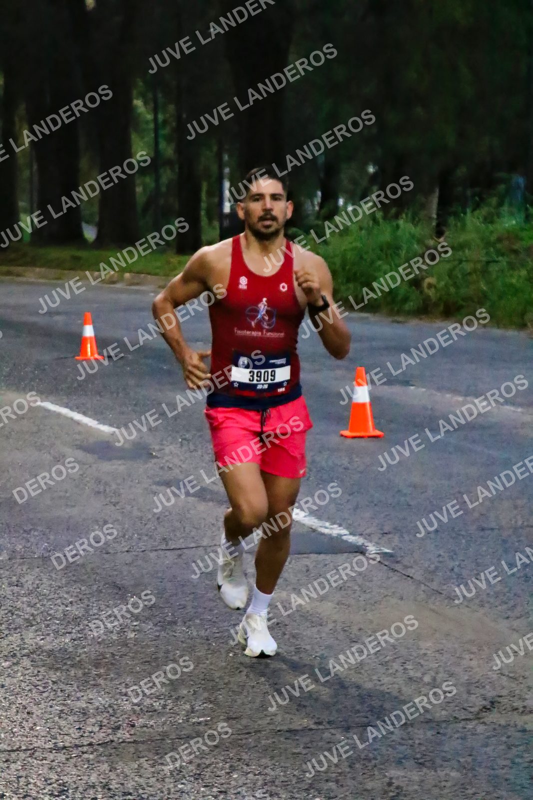 Foto de la CARRERA BIMBO GLOBAL RACE GUADALAJARA en Centro Comercial Andares, Blvd. Puerta de Hierro 4965, Zapopan a las 06:35 · dorsal 3909