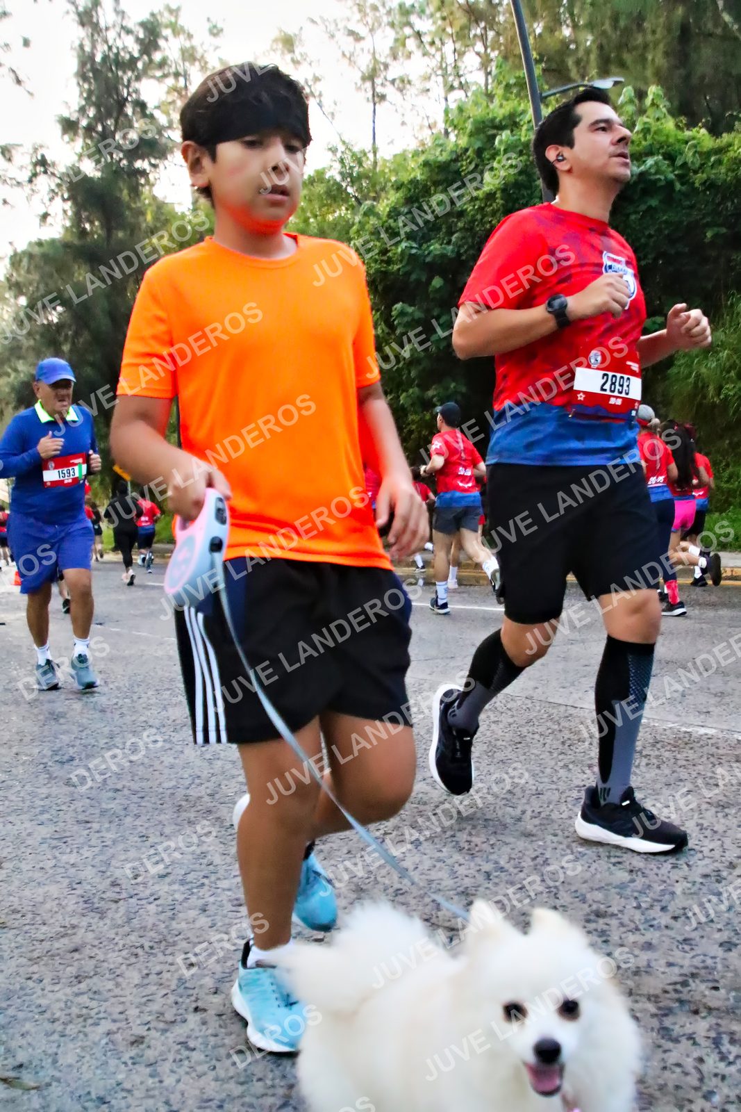 Foto de la CARRERA BIMBO GLOBAL RACE GUADALAJARA en Centro Comercial Andares, Blvd. Puerta de Hierro 4965, Zapopan a las 05:00 · dorsal 2893, 1593