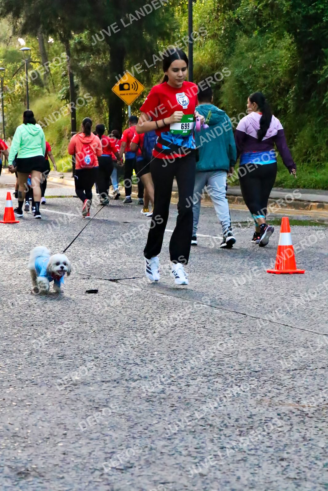 Foto de la CARRERA BIMBO GLOBAL RACE GUADALAJARA en Centro Comercial Andares, Blvd. Puerta de Hierro 4965, Zapopan a las 07:11 · dorsal 699