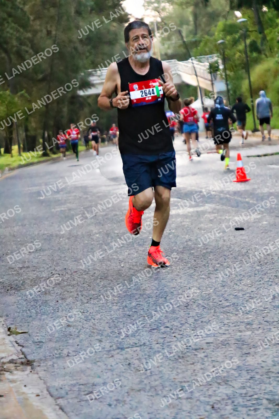 Foto de la CARRERA BIMBO GLOBAL RACE GUADALAJARA en Centro Comercial Andares, Blvd. Puerta de Hierro 4965, Zapopan a las 04:55