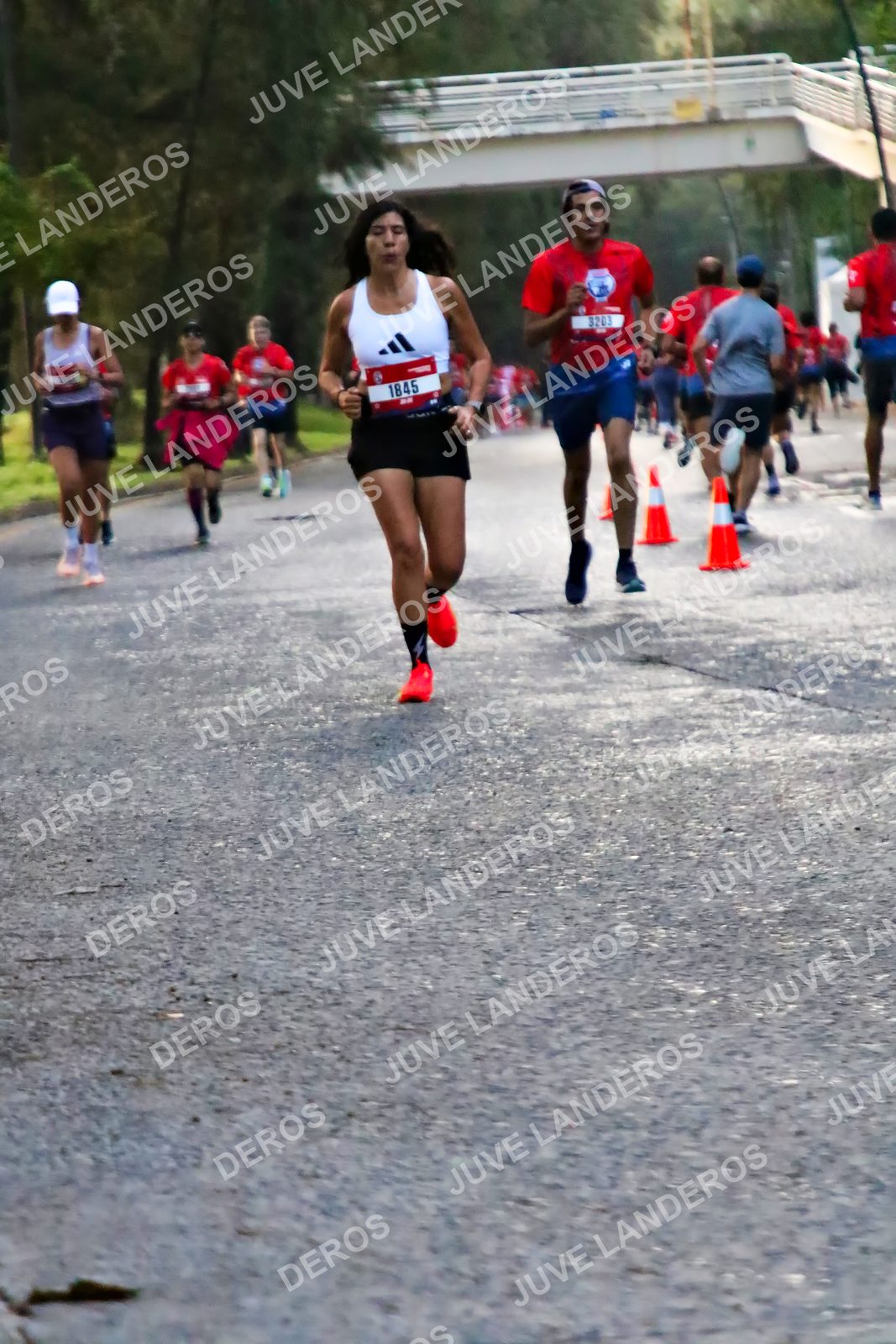 Foto de la CARRERA BIMBO GLOBAL RACE GUADALAJARA en Centro Comercial Andares, Blvd. Puerta de Hierro 4965, Zapopan a las 04:57 · dorsal 1845, 3203