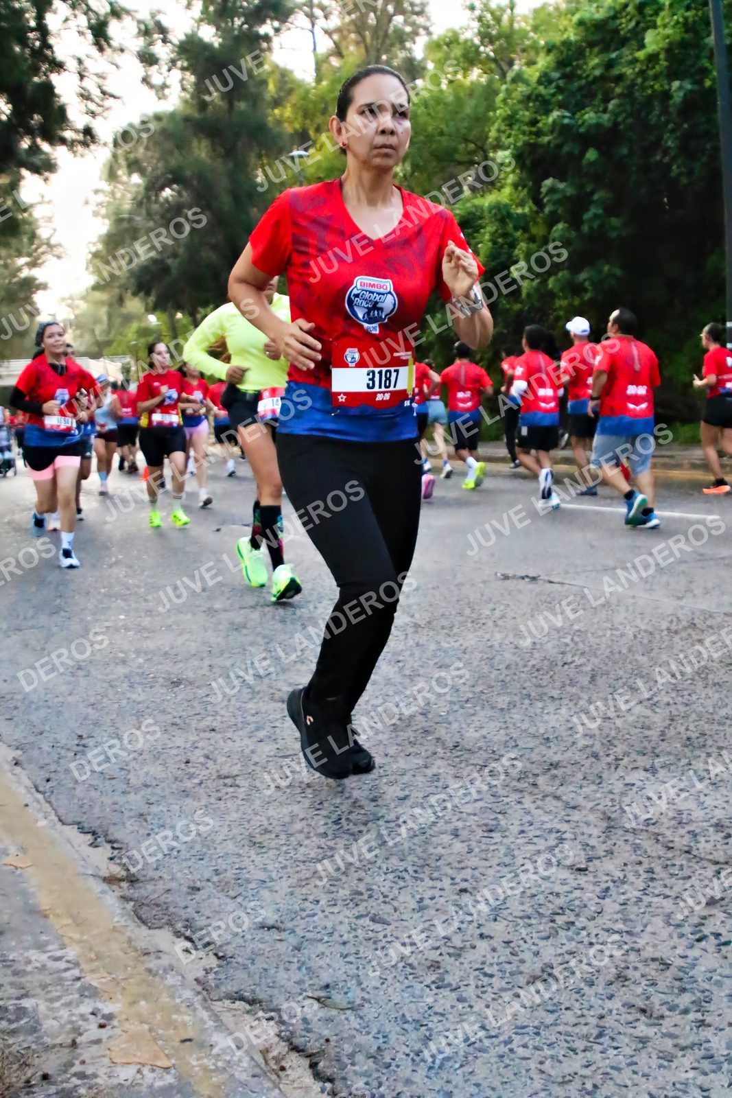 Foto de la CARRERA BIMBO GLOBAL RACE GUADALAJARA en Centro Comercial Andares, Blvd. Puerta de Hierro 4965, Zapopan a las 06:55 · dorsal 3187