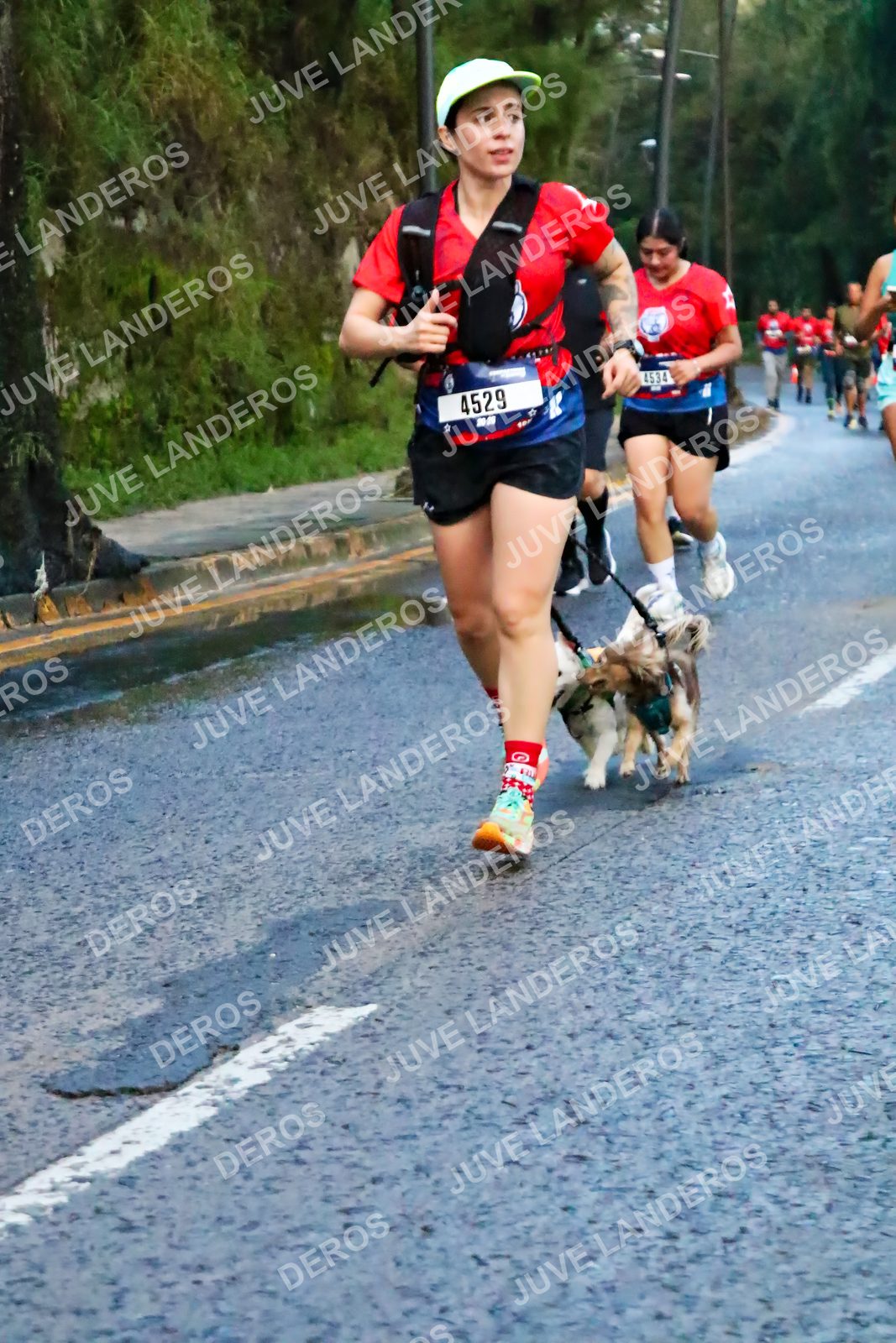 Foto de la CARRERA BIMBO GLOBAL RACE GUADALAJARA en Centro Comercial Andares, Blvd. Puerta de Hierro 4965, Zapopan a las 04:53 · dorsal 4529, 4534
