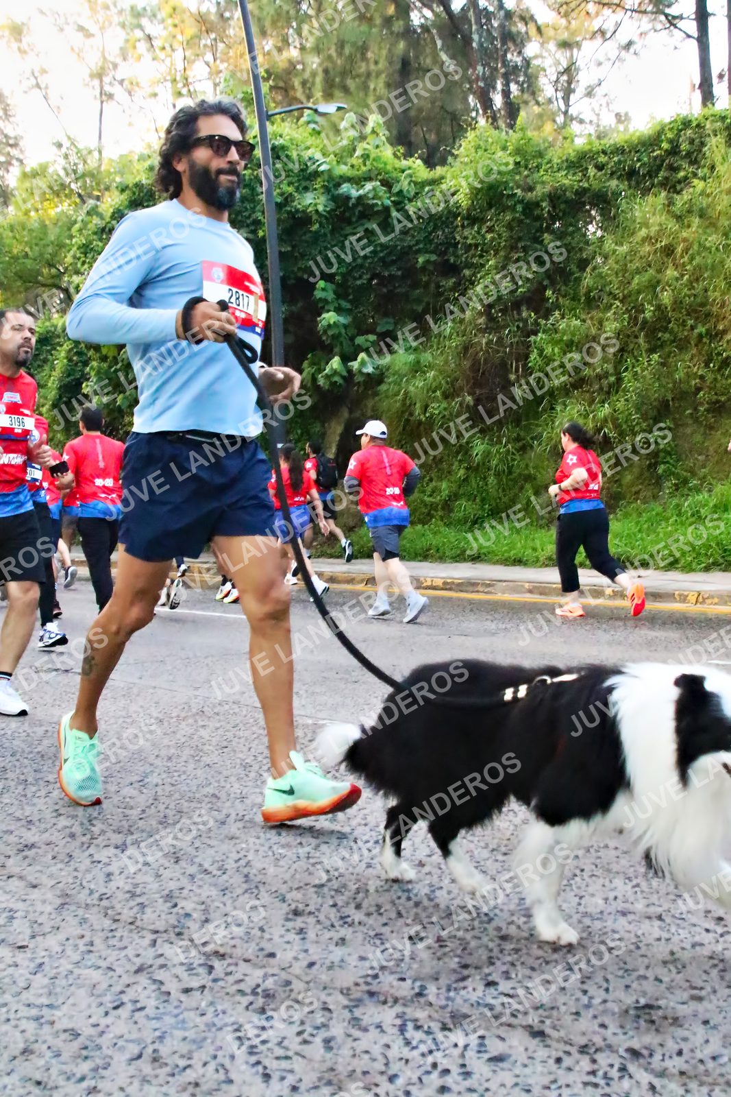 Foto de la CARRERA BIMBO GLOBAL RACE GUADALAJARA en Centro Comercial Andares, Blvd. Puerta de Hierro 4965, Zapopan a las 06:58 · dorsal 3196, 2817