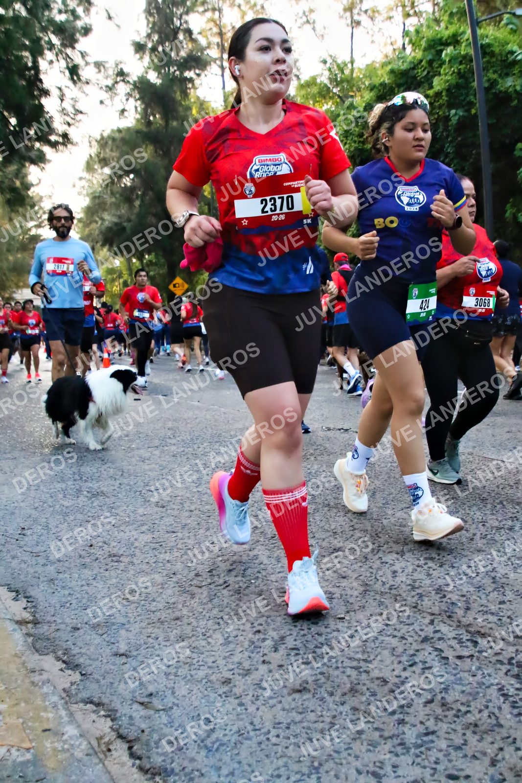 Foto de la CARRERA BIMBO GLOBAL RACE GUADALAJARA en Centro Comercial Andares, Blvd. Puerta de Hierro 4965, Zapopan a las 06:58 · dorsal 2370, 3068, 424, 2817